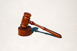 三過家門而不入的是誰：揭秘大禹治水的傳奇故事